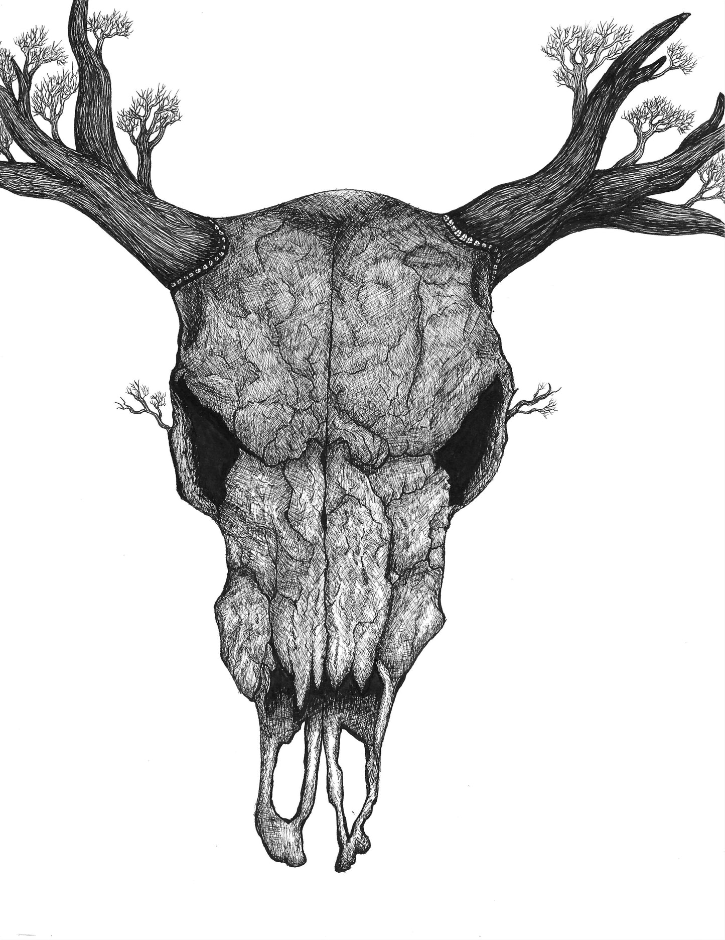 Deer skull ink print 8x11